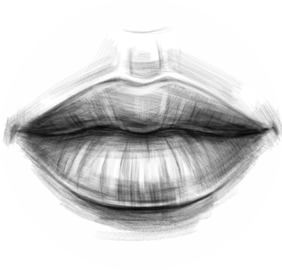 Plantilla de dibujo de anatomía