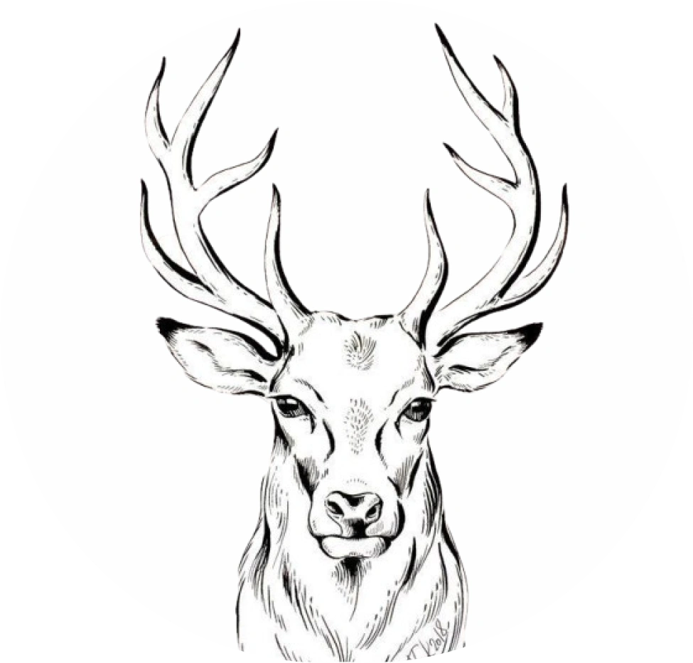 Plantilla de dibujo de animales