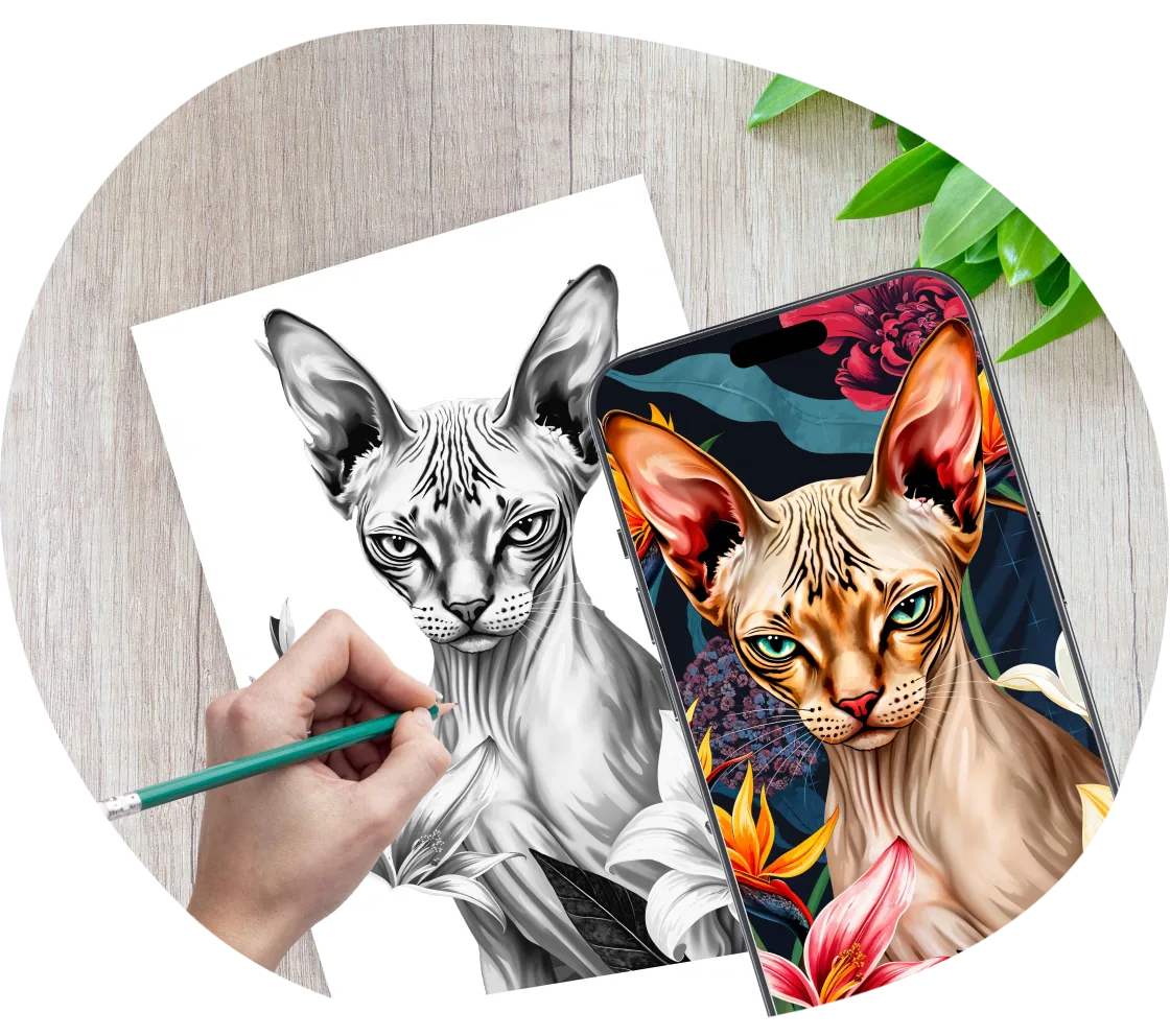 App de dibujo con AR ArtEasy con un boceto de gato para calcar sobre una superficie real